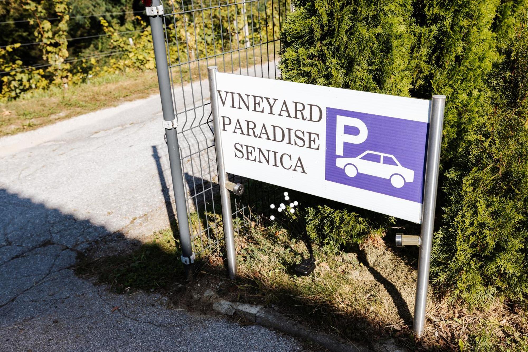 Vineyard Paradise Senica Dramlje Esterno foto