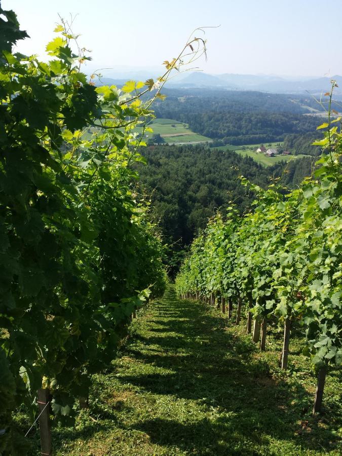 Vineyard Paradise Senica Dramlje Esterno foto